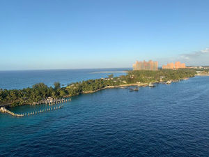 Meet your Posher, Maya